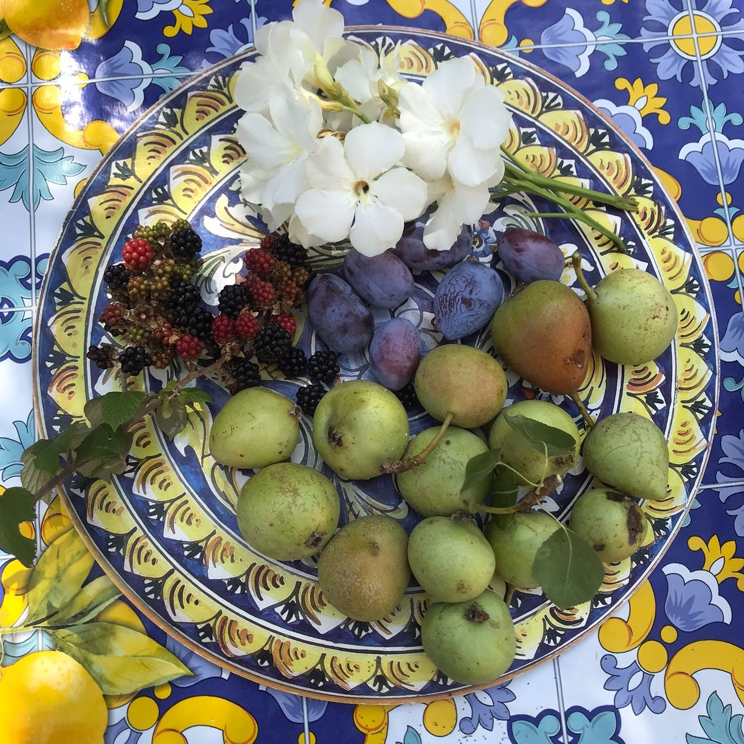 La Terra
